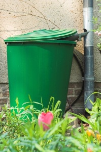 From Waste to Water Reservoir: Building a Rain Barrel from a Trash Can