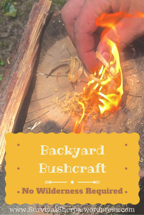 backyard-bushcraft