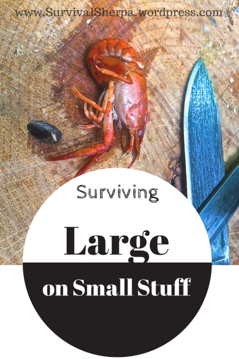 Surviving Large on Small Stuff
