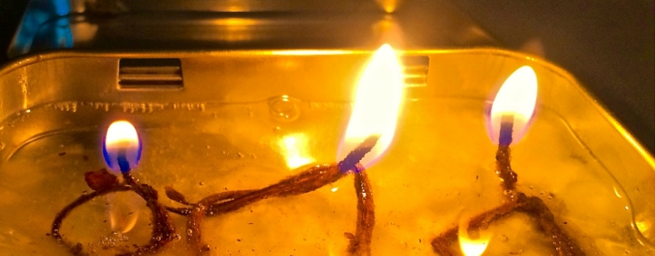 An Emergency Slush Lamp Hack Using a Torch Plant Leaf - TheSurvivalSherpa.com