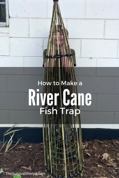 How to Make a River Cane Fish Trap - TheSurvivalSherpa.com
