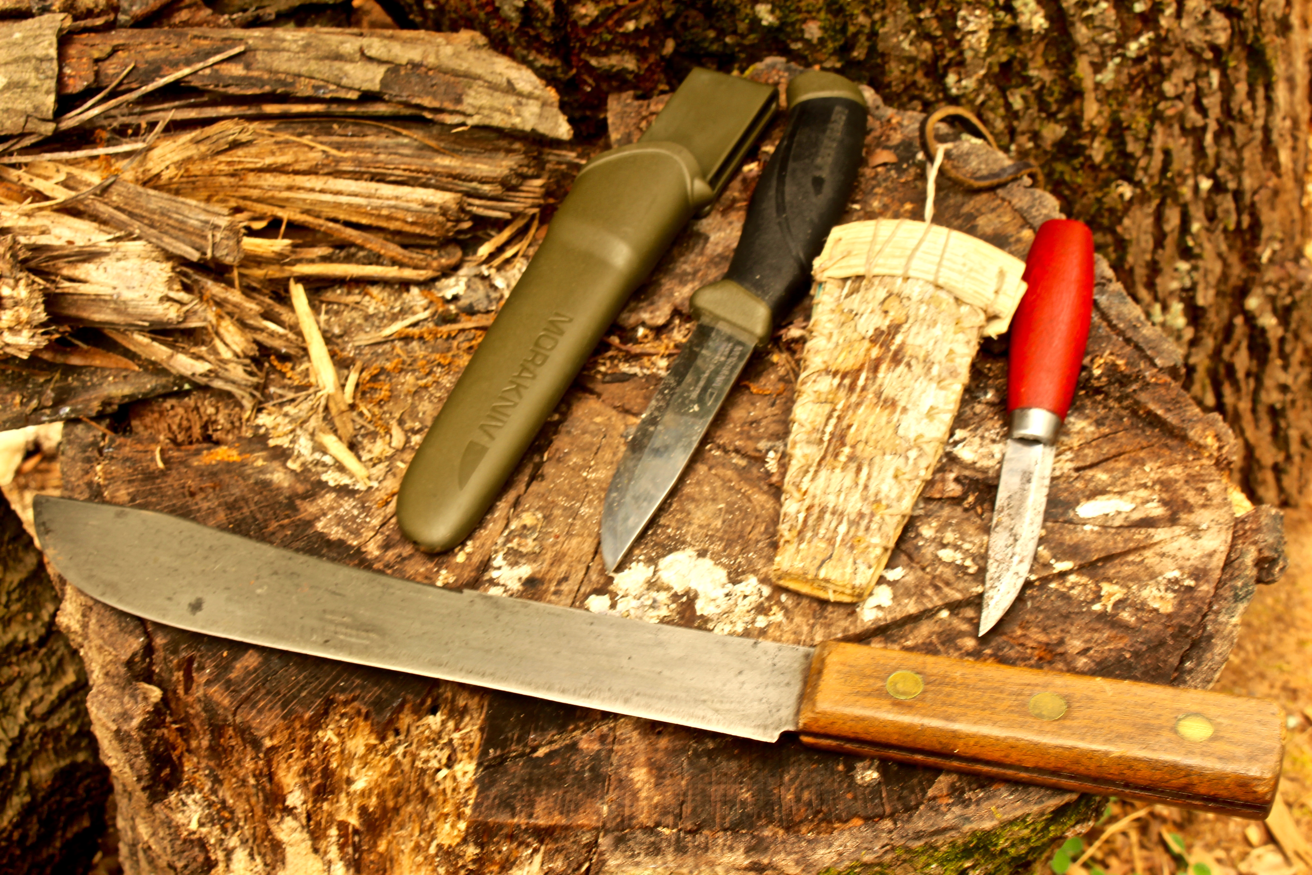 A Beginner’s Guide to Avoiding Bloated Bushcraft – TheS...