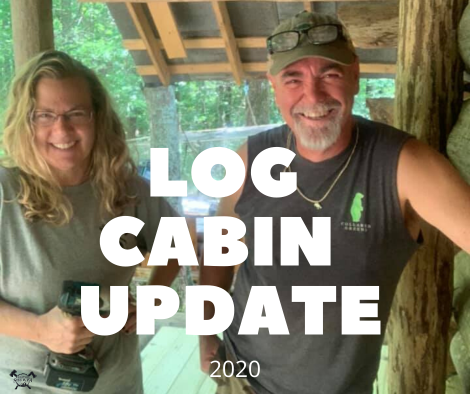 Log Cabin Update 2020