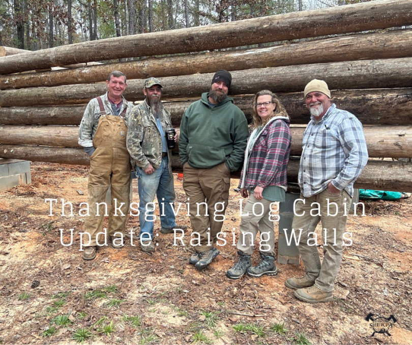 Thanksgiving Log Cabin Update: Raising Walls